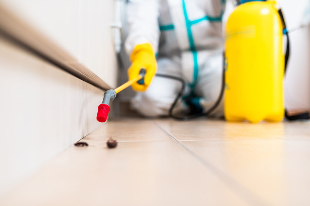 Delaware Cockroach Experts